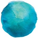 The Cooper Companies Inc.